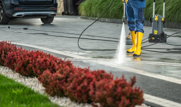Best Dumpster Area Cleaning  in Charlotte, TX